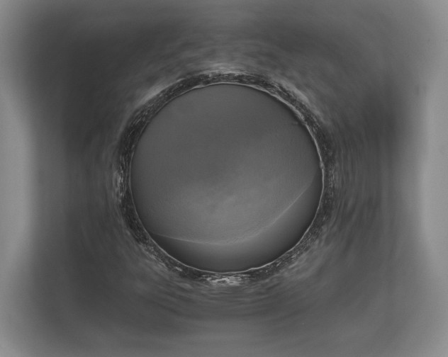 X0000110321303200905281624