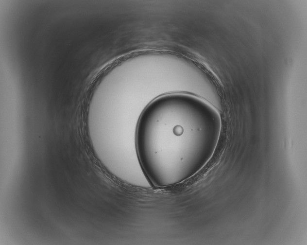 X0000110321304200905281624