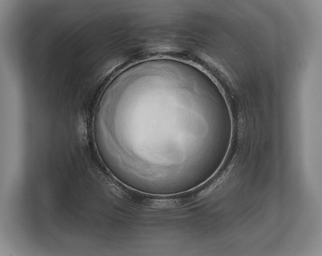 X0000110321305200905281624