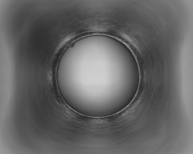 X0000110321307200905281624