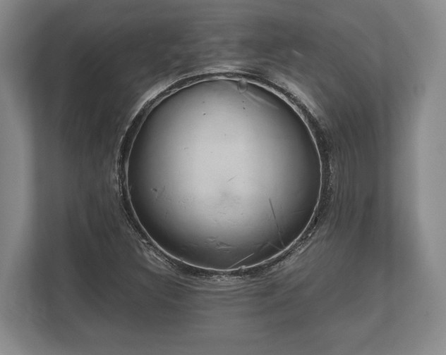 X0000110321308200905281624