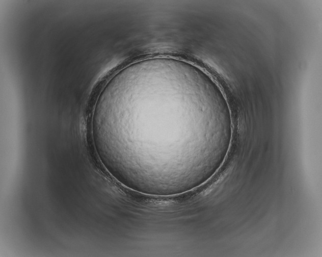 X0000110321309200905281624