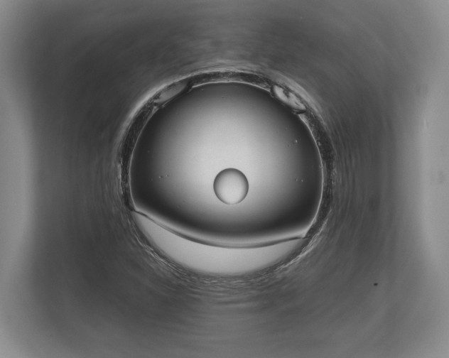 X0000110321310200905281624