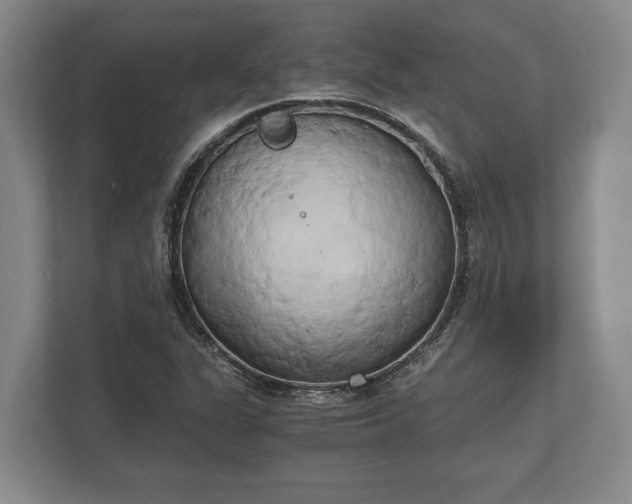 X0000110321311200905281624