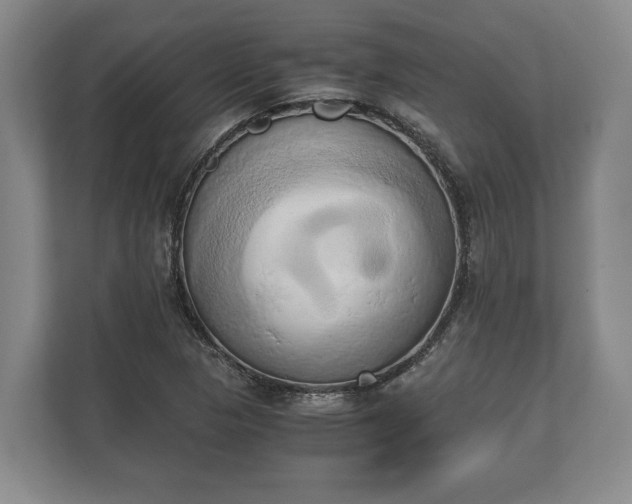 X0000110321313200905281624