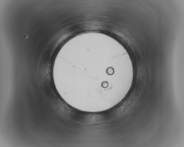 X0000110321314200905281624