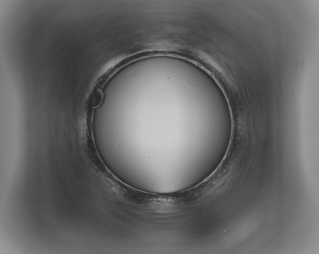 X0000110321315200905281624