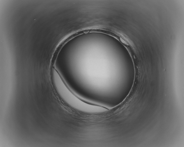 X0000110321316200905281625