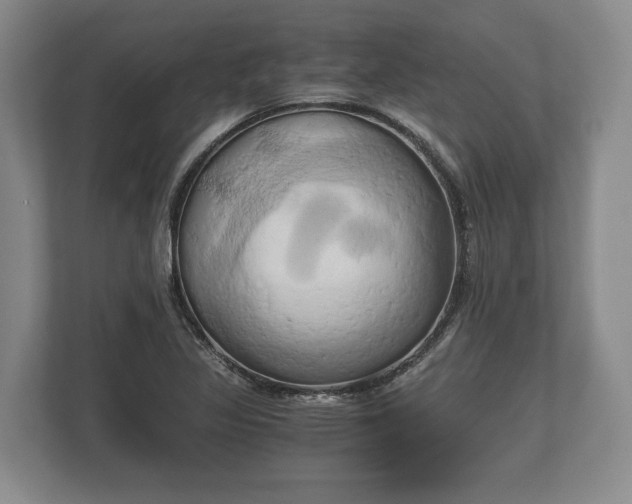 X0000110321317200905281625