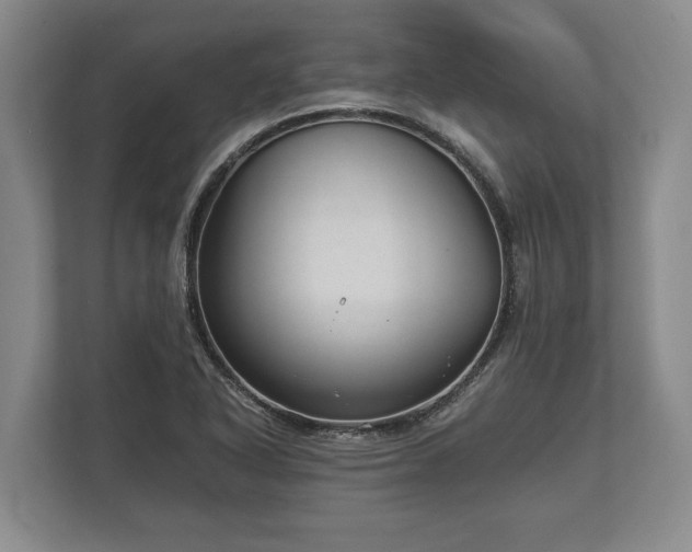 X0000110321318200905281625