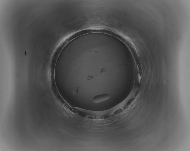 X0000110321319200905281625