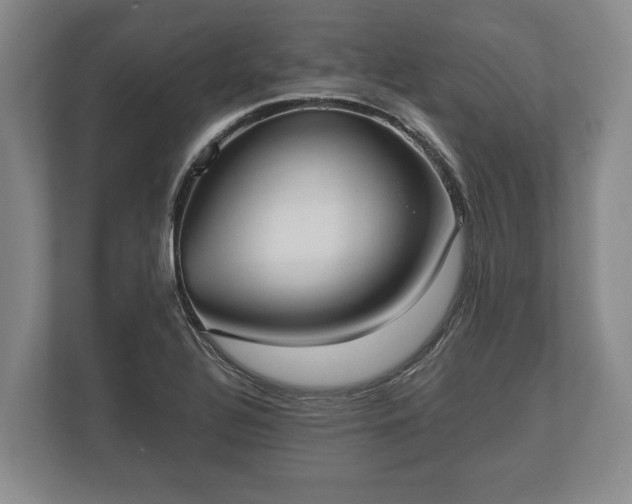 X0000110321320200905281625