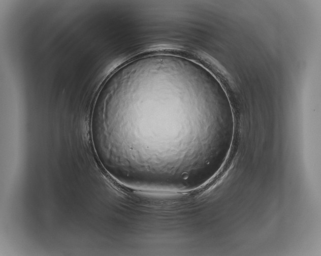 X0000110321321200905281625