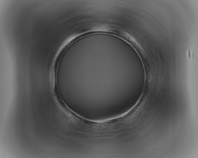 X0000110321323200905281625