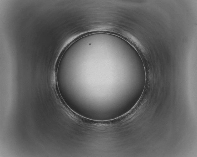 X0000110321324200905281625