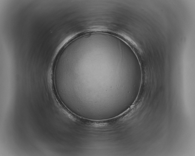 X0000110321325200905281625