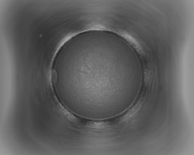 X0000110321326200905281625