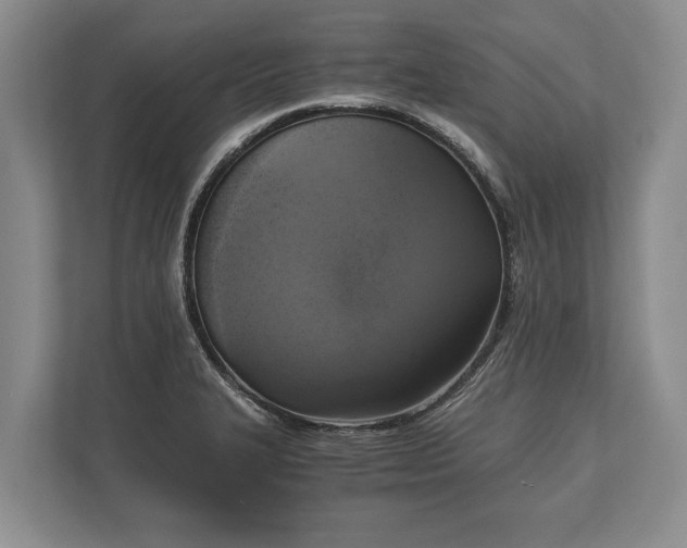 X0000110321327200905281625