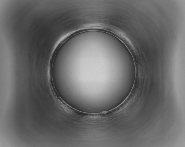 X0000110321328200905281625