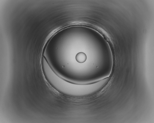 X0000110321330200905281625