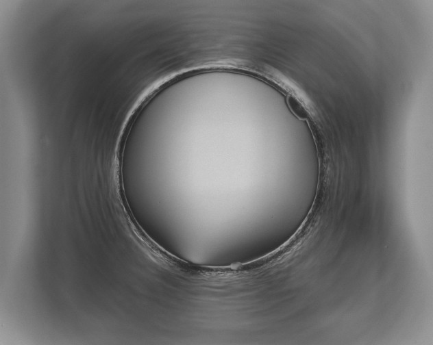 X0000110321332200905281625