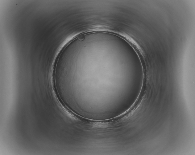 X0000110321333200905281625