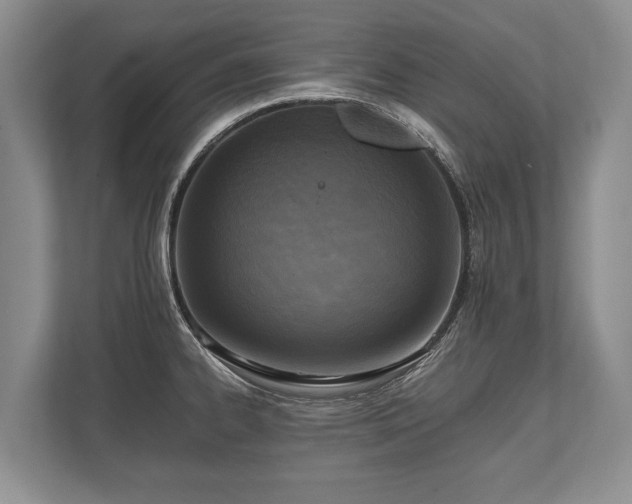 X0000110321334200905281625