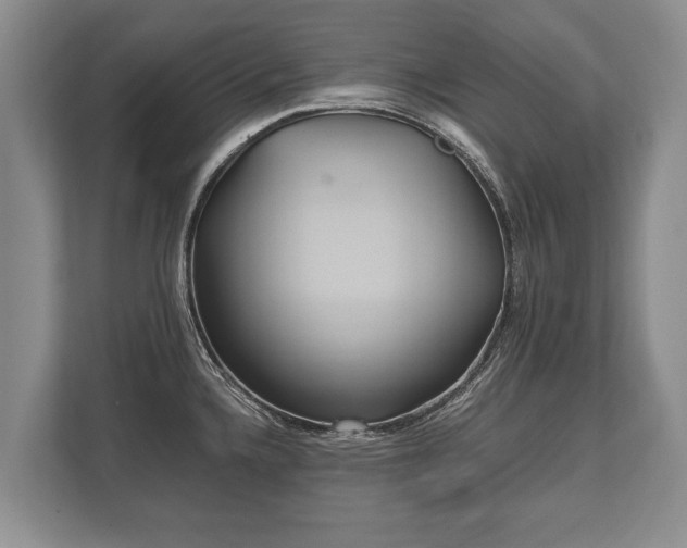 X0000110321336200905281625