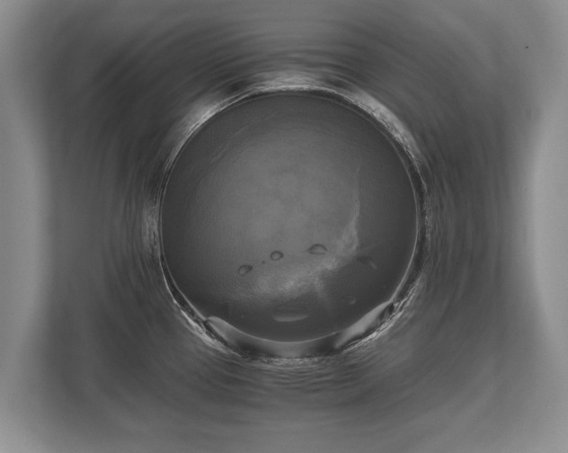 X0000110321337200905281625