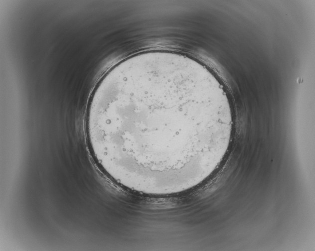 X0000110321338200905281625