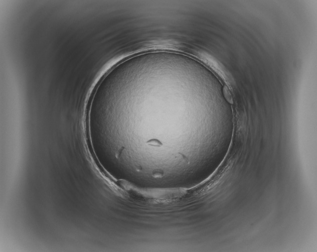 X0000110321339200905281625