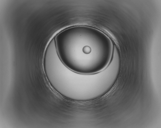 X0000110321340200905281625