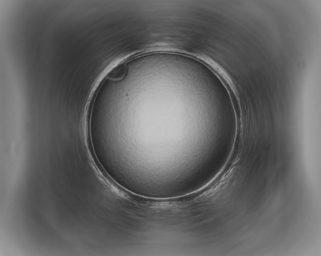 X0000110321341200905281625