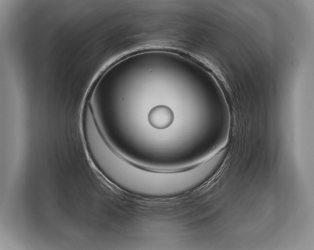 X0000110321342200905281625