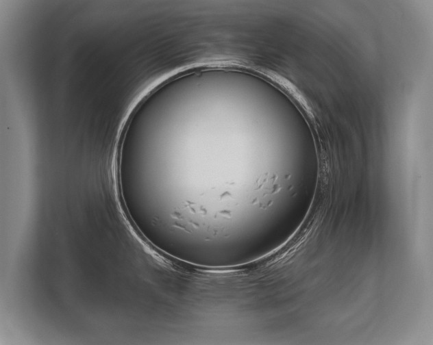 X0000110321343200905281625