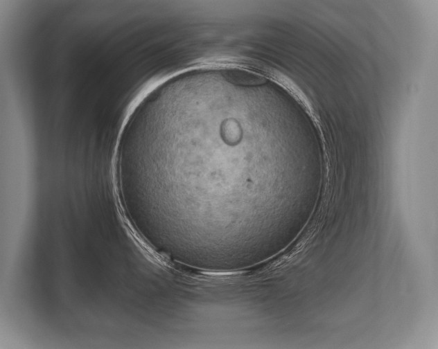 X0000110321344200905281625