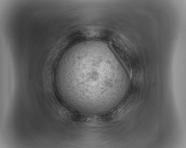 X0000110321345200905281624