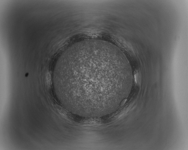 X0000110321347200905281624