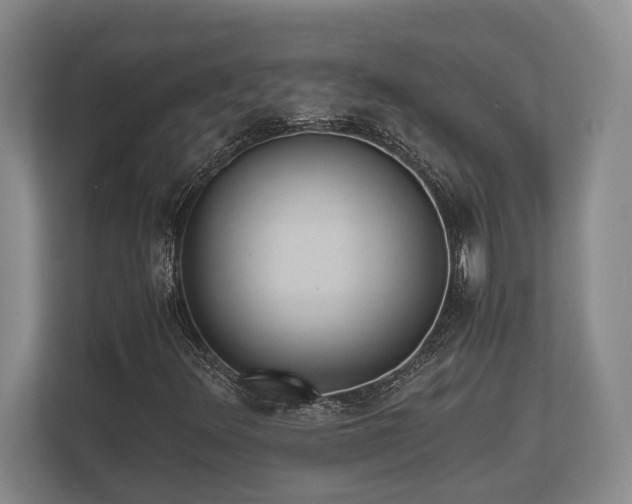 X0000110321348200905281624