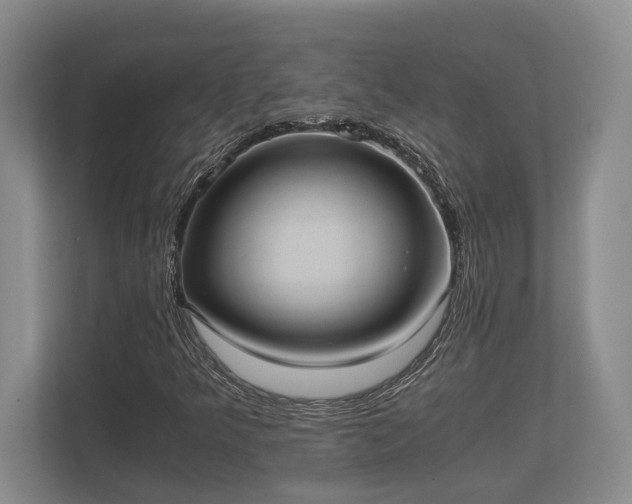 X0000110321349200905281624