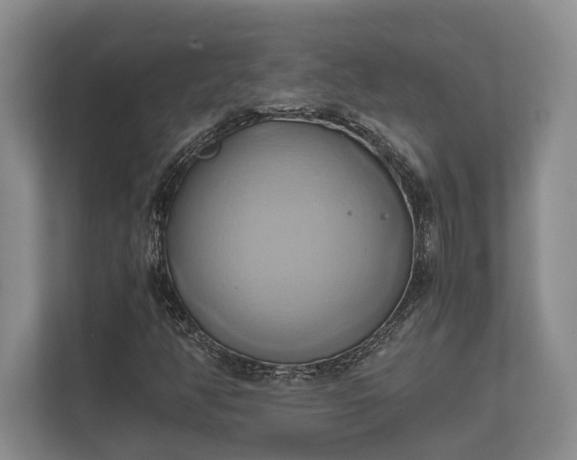 X0000110321350200905281624