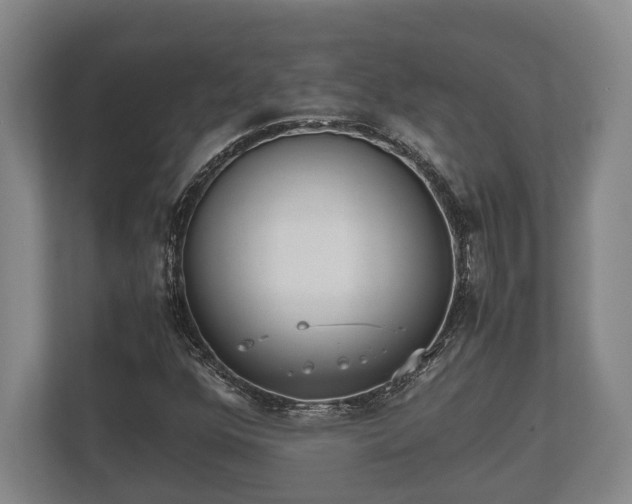 X0000110321352200905281624