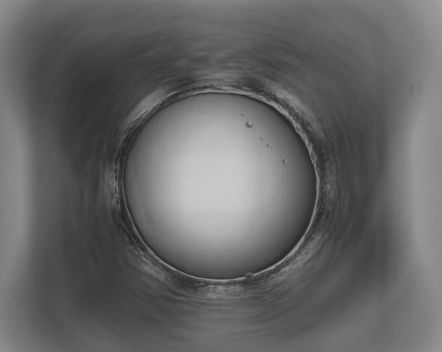 X0000110321354200905281624