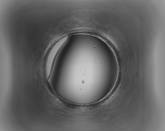 X0000110321357200905281624