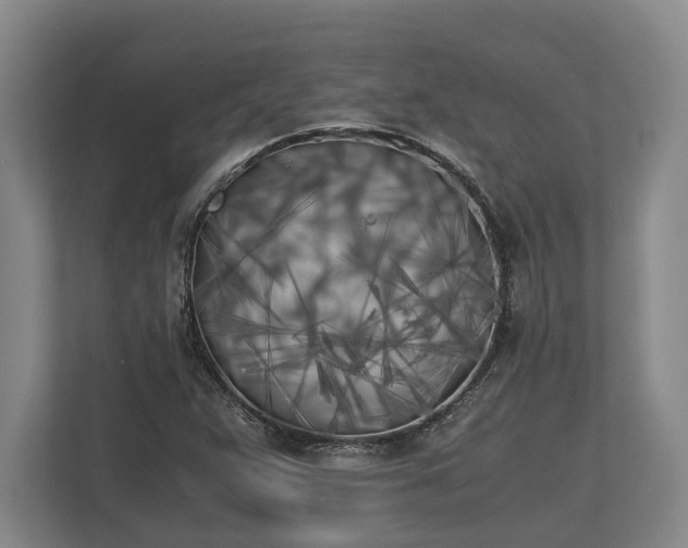 X0000110321359200905281624