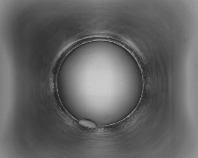 X0000110321360200905281624