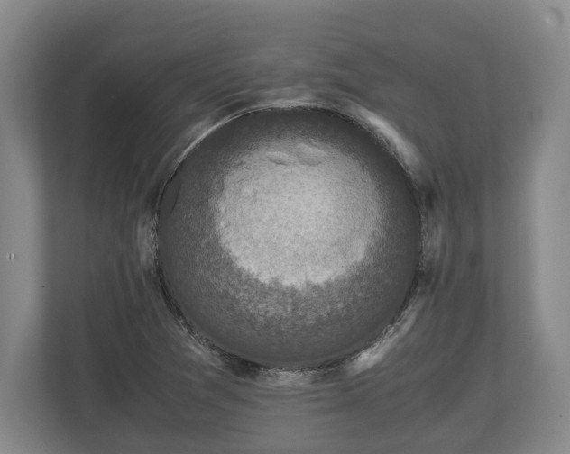 X0000110321361200905281624