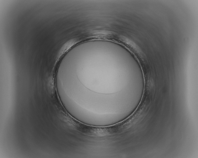 X0000110321362200905281624