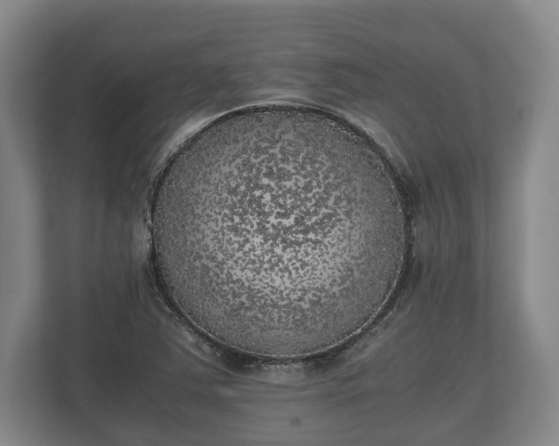X0000110321363200905281624