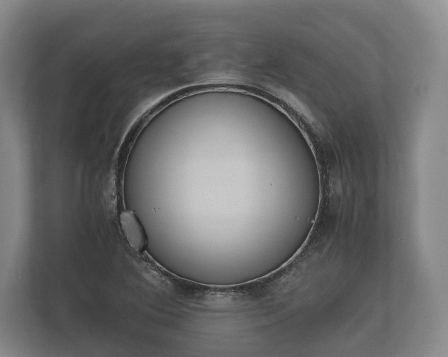 X0000110321364200905281624